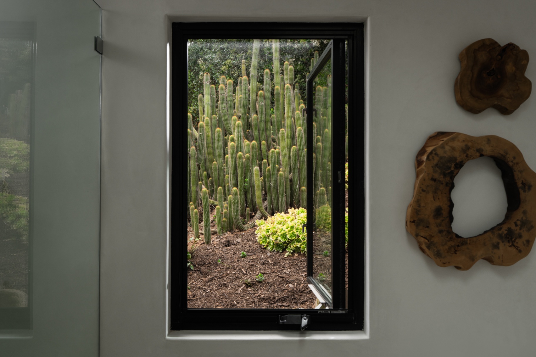 Interior window framing the cactus garden